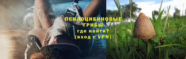 герыч Лагань