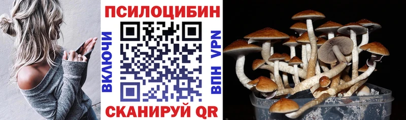 Псилоцибиновые грибы мухоморы  где найти наркотики  Кисловодск 