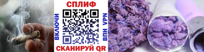 где можно купить наркотик  Кисловодск  МАРИХУАНА сатива 